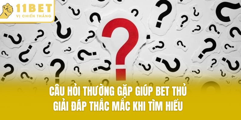 Câu hỏi thường gặp giúp bet thủ giải đáp thắc mắc khi tìm hiểu