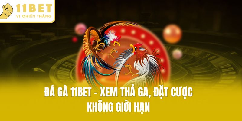 Đá gà 11bet - Xem thả ga, đặt cược không giới hạn