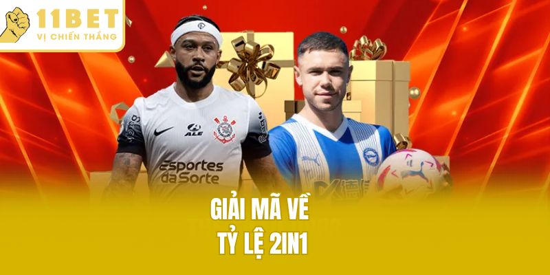 Giải mã về tỷ lệ 2in1